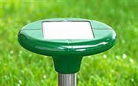 Solar Moler